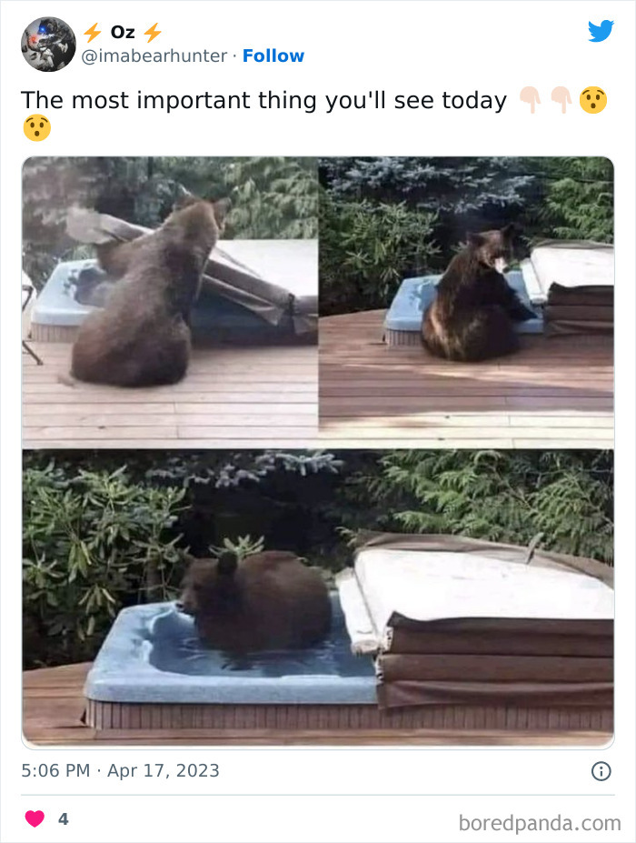 A bear enjoys a relaxing soak in a backyard jacuzzi, combining animals and humor for a hilarious meme moment.