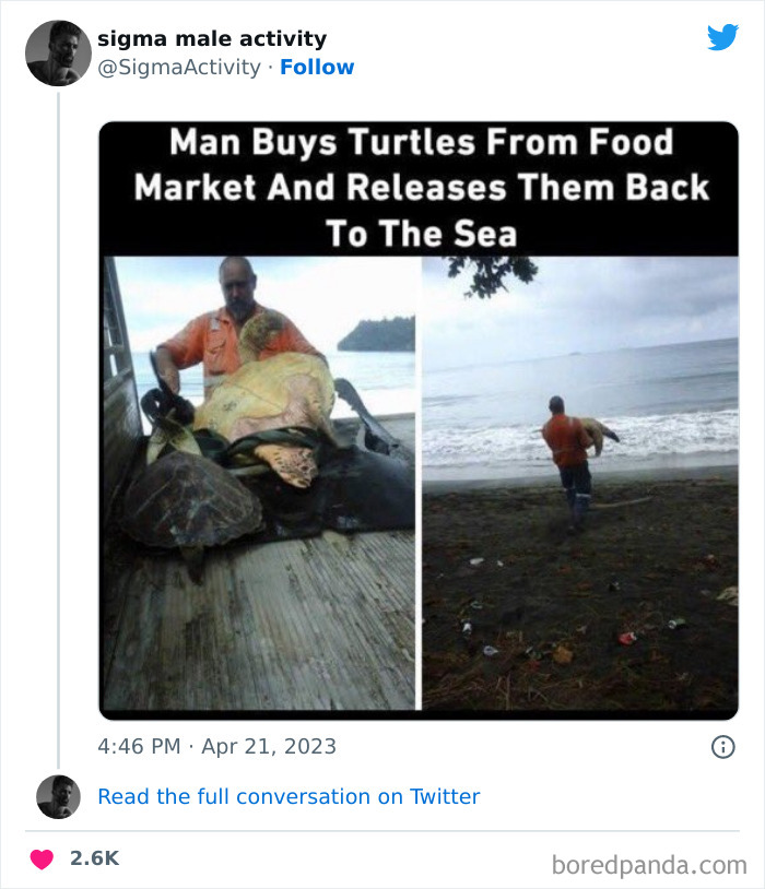 Sigma-Male-Activity-Posts