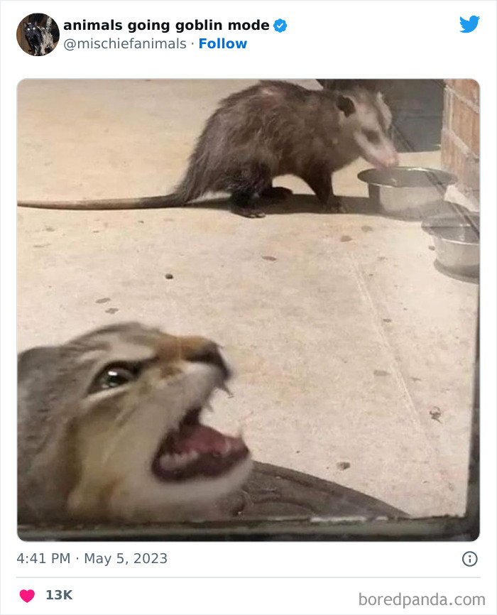 Goblin-Mode-Animals