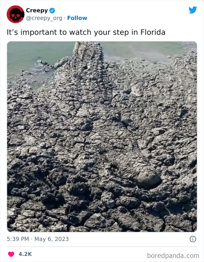 Creepy-Org-Tweets