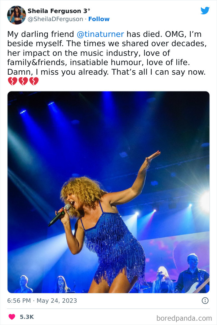 Tina-Turner-Tributes