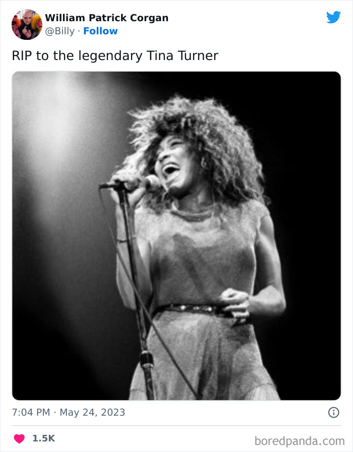 Tina-Turner-Tributes