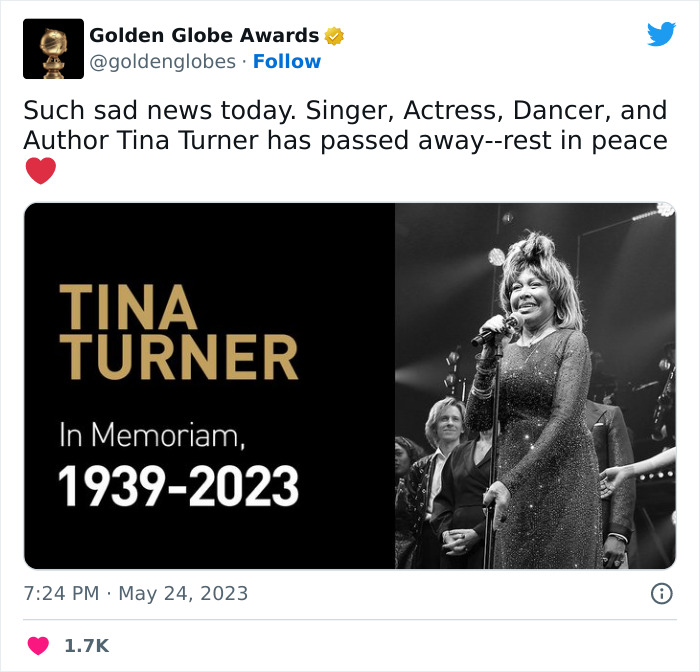 Tina-Turner-Tributes