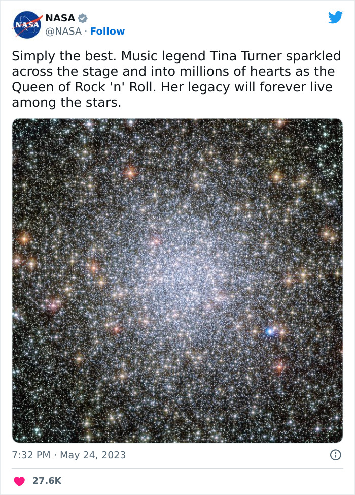 Tina-Turner-Tributes