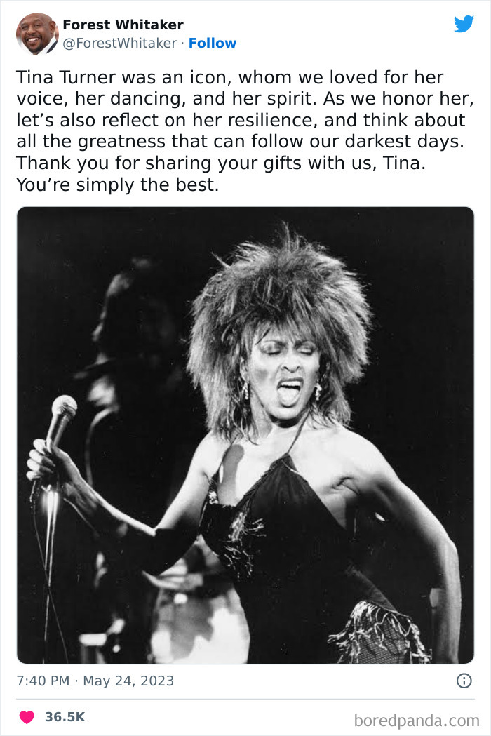 Tina-Turner-Tributes