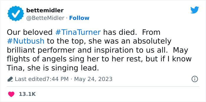 Tina-Turner-Tributes