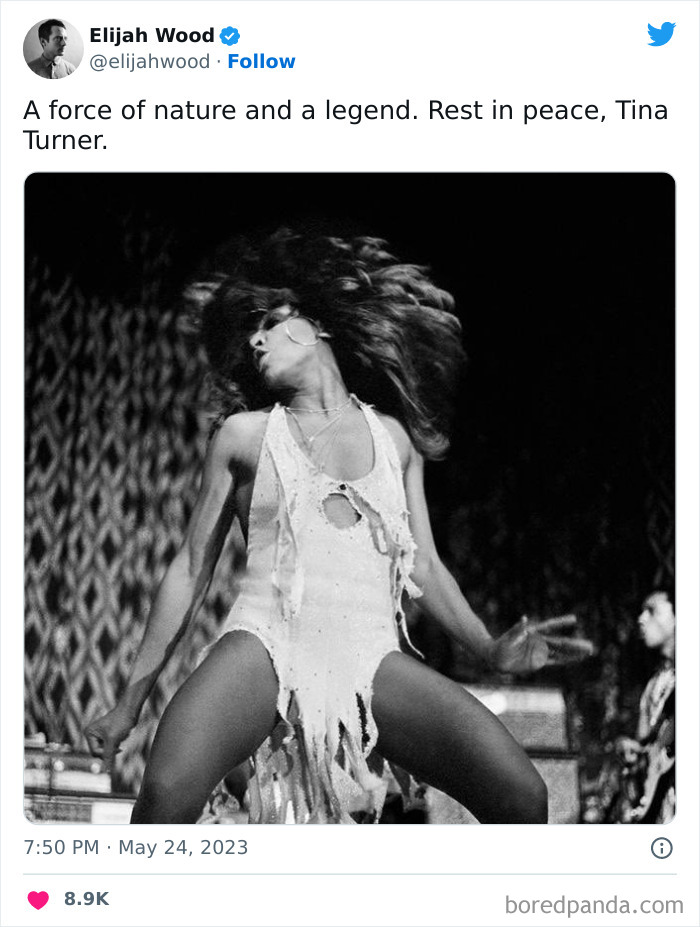 Tina-Turner-Tributes