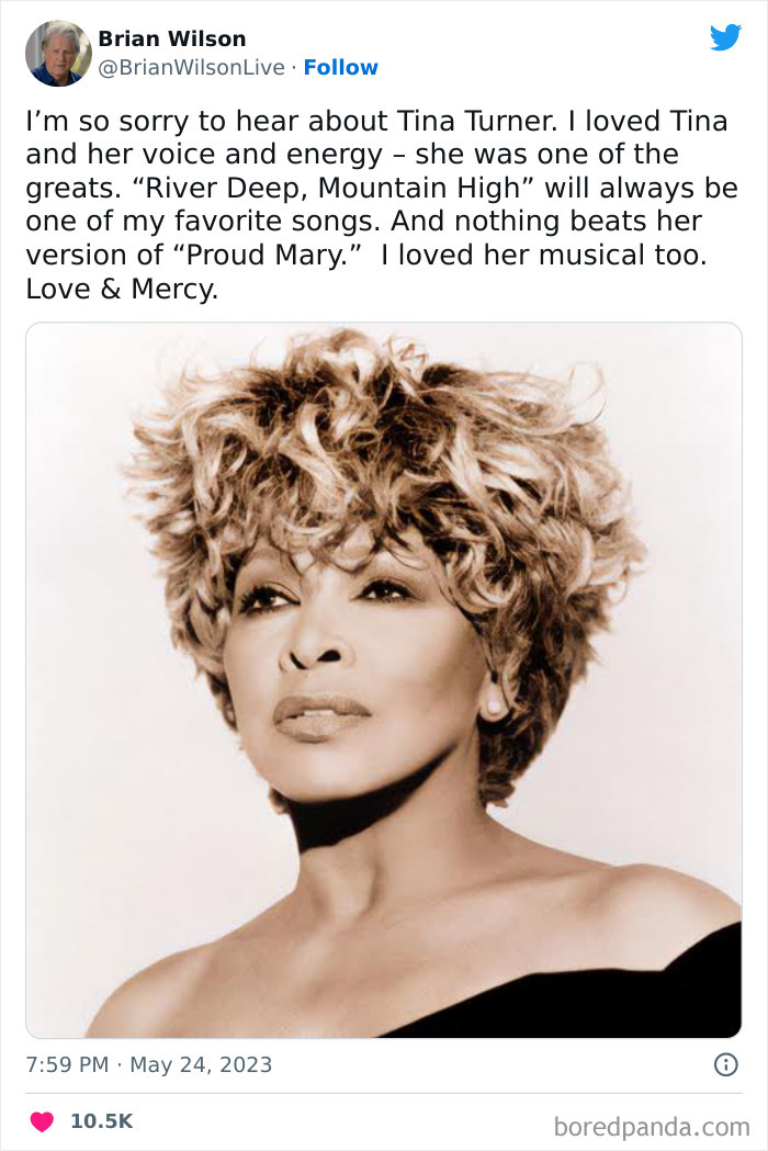 Tina-Turner-Tributes