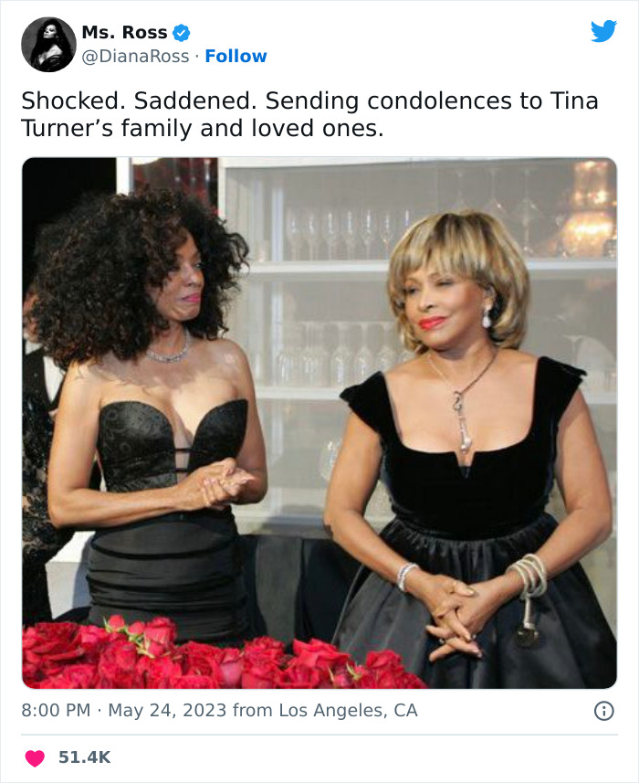 Tina-Turner-Tributes