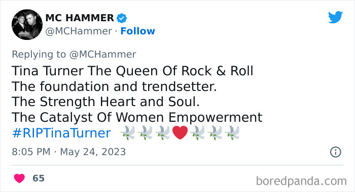 Tina-Turner-Tributes