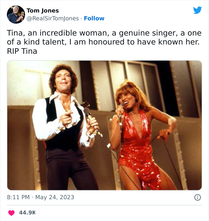 Tina-Turner-Tributes
