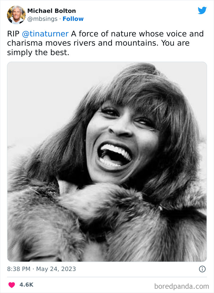 Tina-Turner-Tributes