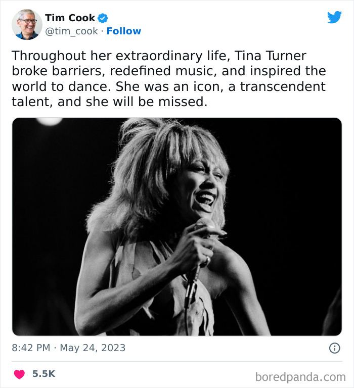 Tina-Turner-Tributes