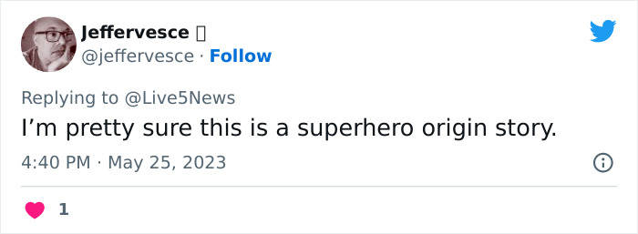 Dog Gives Birth To 7 Puppies On The Way To The Hospital Where She Was Taken Because Of A Rattlesnake Bite Dog Gives Birth To 7 Puppies On The Way To The Hospital Where She Was Taken Because Of A Rattlesnake Bite