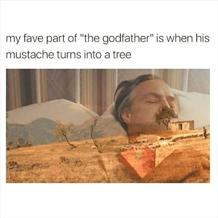 Filmmaker-Meme-Funny-Instagram