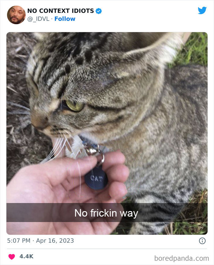 Funny-No-Context-Idiots