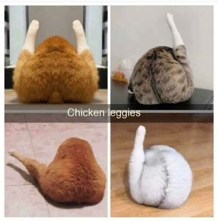 Funny-Animal-Memes-Jokes