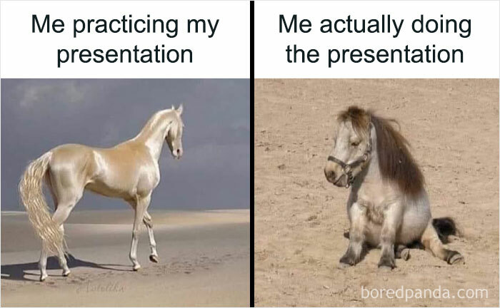 Horse meme comparing student presentation practice to reality, highlighting student humor at university.