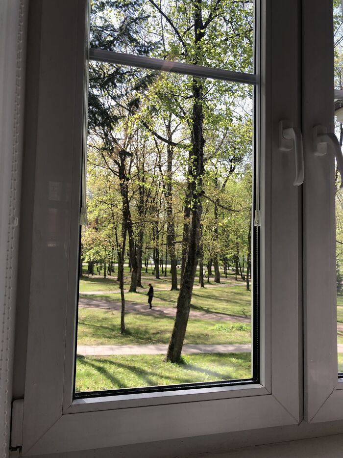 Everything Is So Green!