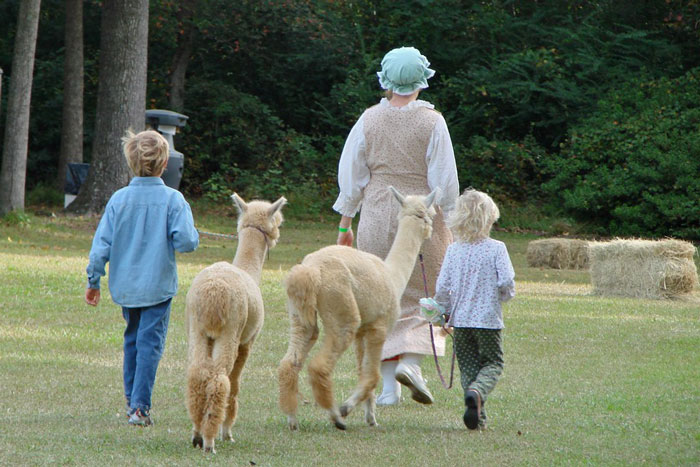Brother&rsquo;s Infertile Girlfriend Keeps Making Judgy Comments Regarding This Woman's Parenting, She Can&rsquo;t Take It Anymore And Snaps Back