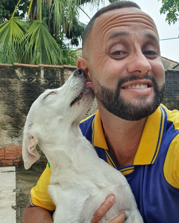 Meet The Brazilian Postman Who Conquers The Friendship Of Dogs And Cats Wherever He Goes (40 New Pics)