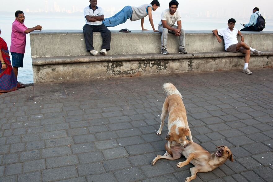 Photographer Takes To The Streets Capturing Unlikely Coincidences (53 New Pics)