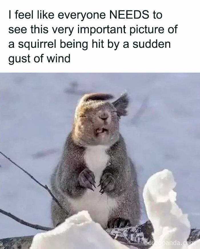 Very Important News: