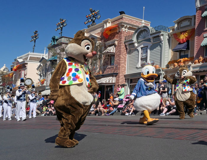 Person Who Uses A Wheelchair Full-Time Is Told To Leave It Before Hopping On A Ride, Maliciously Complies Until The Employee Understands They Screwed Up