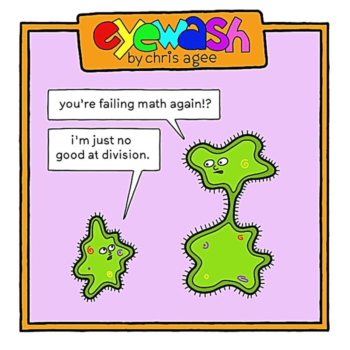 20 More Single Panel Comics To (Hopefully) Make You Laugh