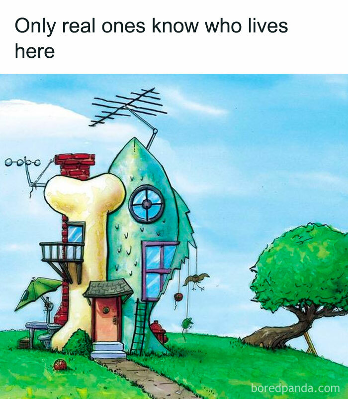 One Fine Day A Woof And A Purr A Baby Was Born And It Caused A Little Stir