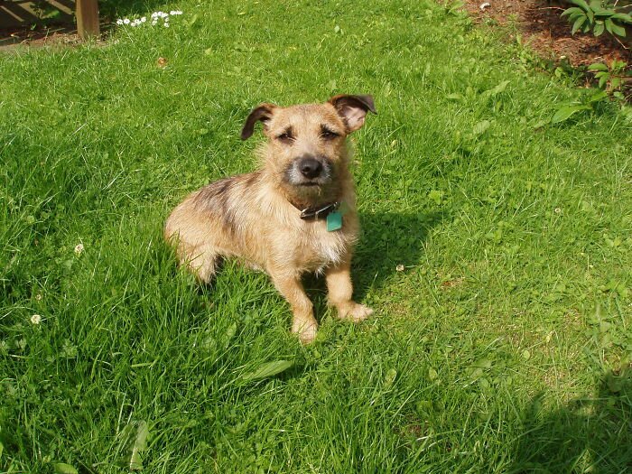 Harry, Went Otrb Last March And Broke My Heart