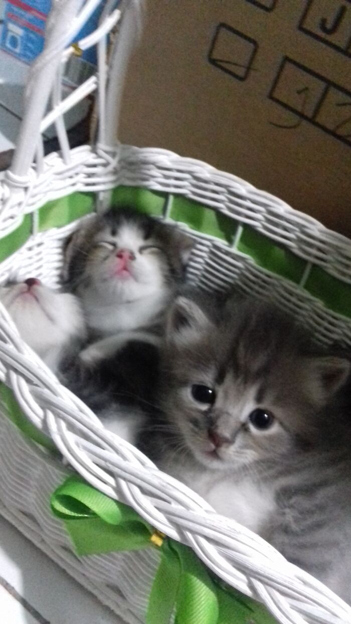 Three Babies Before Becoming A Trouble Maker