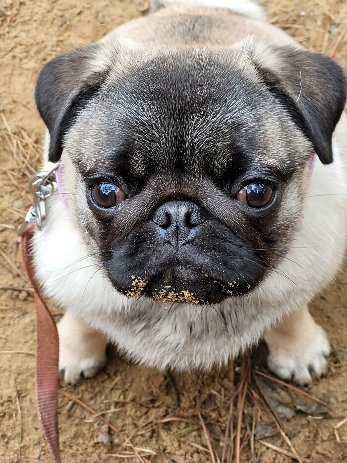 My Sweet Little Girl