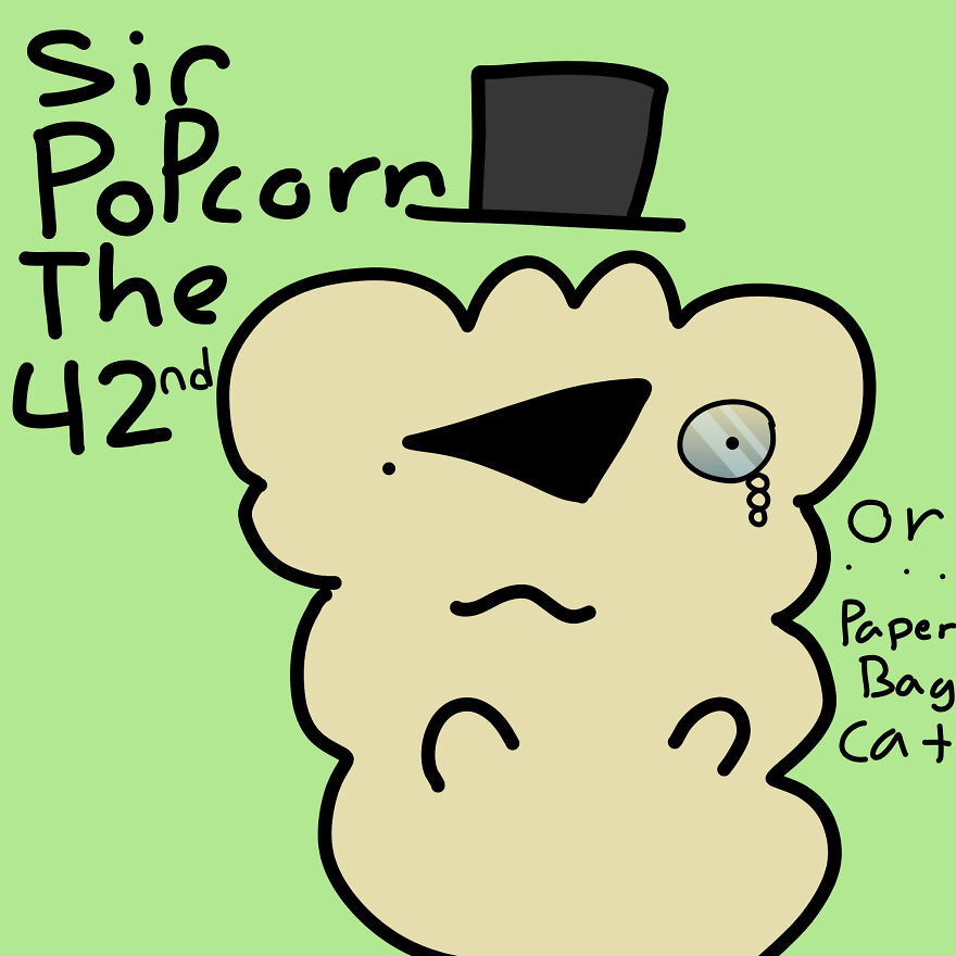 I Draw Silly Cats In Random Scenarios!