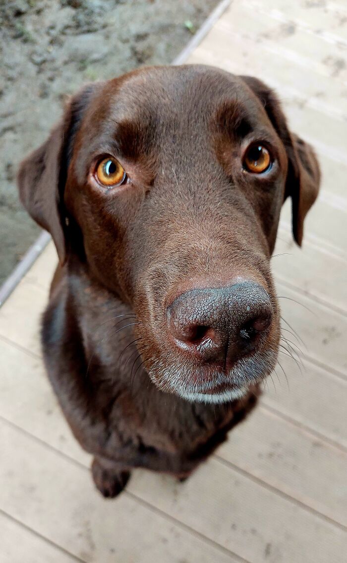 My Best Friend's Best Friend Hunter