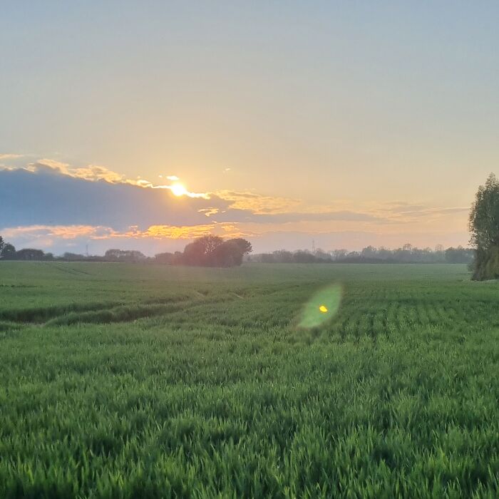 Just Out The Back Of Where I Live