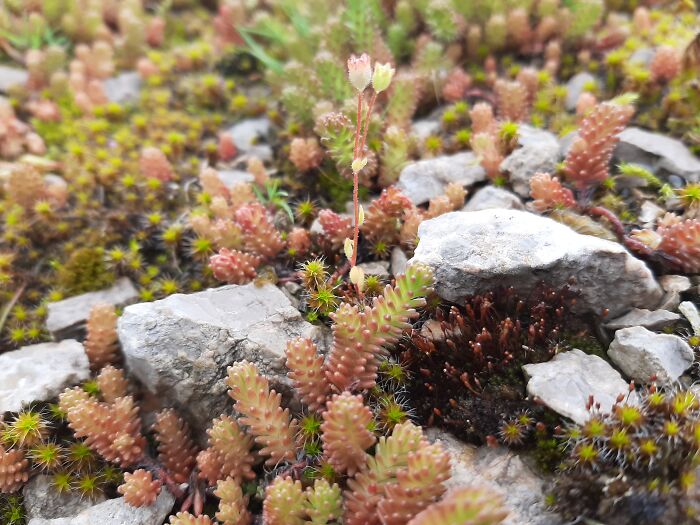 It's The Little Things