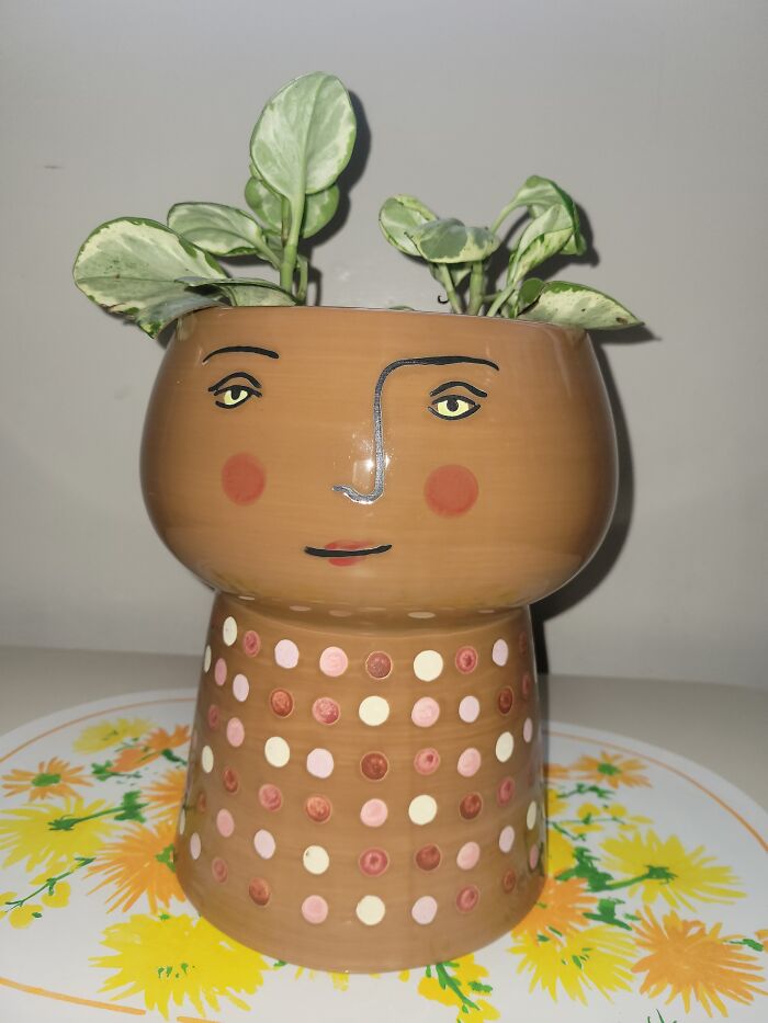 New Plant Home From Target