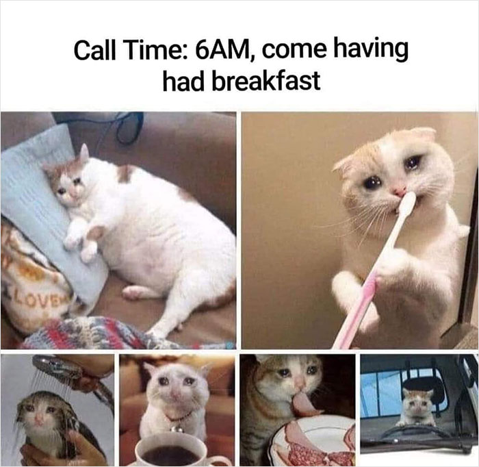 Filmmaker-Meme-Funny-Instagram