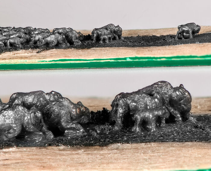 I Carved A Herd Of Bison From A Pencil Graphite