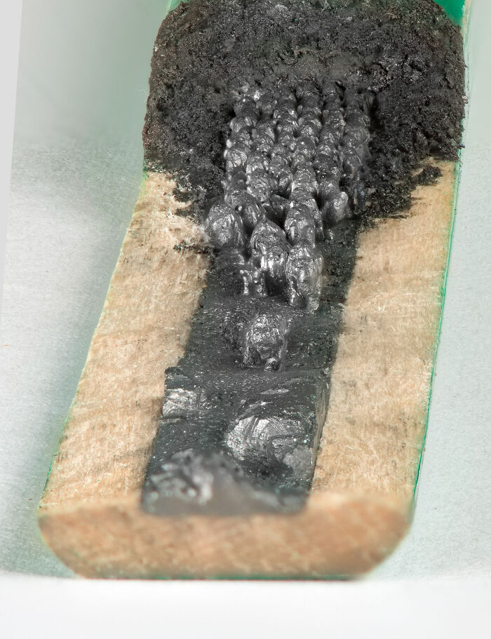 I Carved A Herd Of Bison From A Pencil Graphite