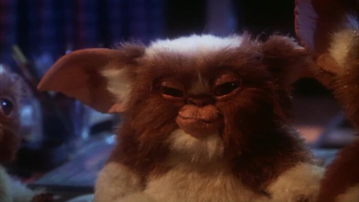 67 Of The Worst Names Ever, As Documented By People On The Internet