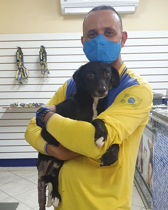 Meet The Brazilian Postman Who Conquers The Friendship Of Dogs And Cats Wherever He Goes (40 New Pics)