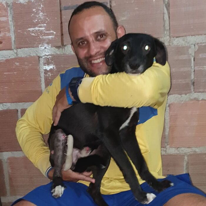 Meet The Brazilian Postman Who Conquers The Friendship Of Dogs And Cats Wherever He Goes (40 New Pics)