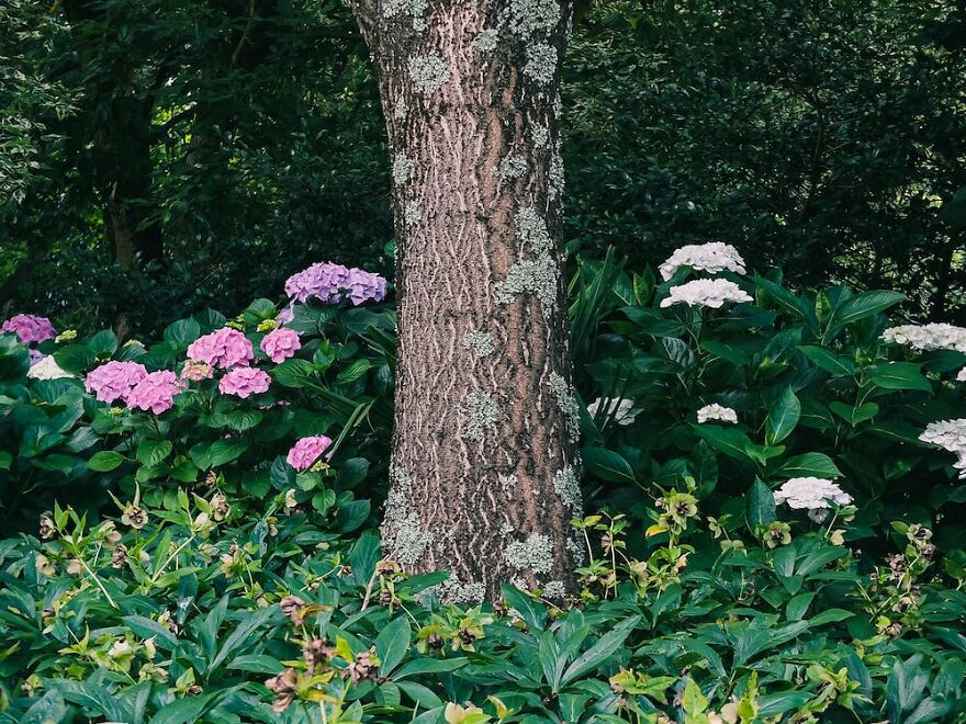 30 Astonishing Nature Pics That Will Make You Say Wow