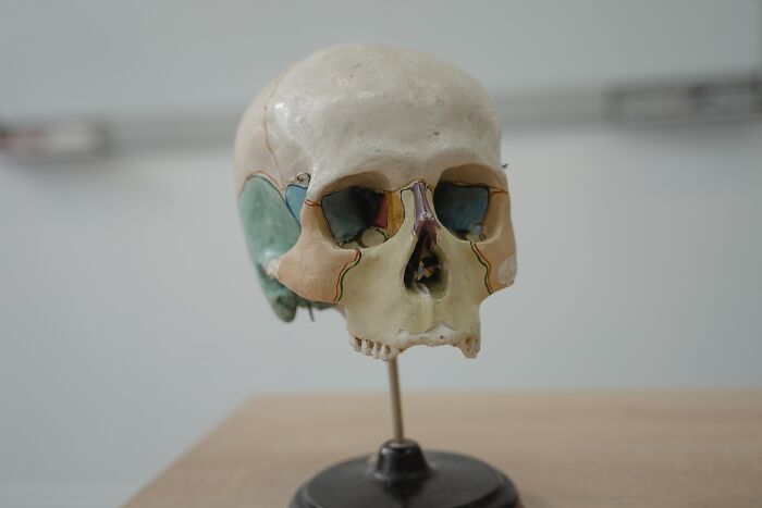 30 Frightening Scientific Facts That Folks In This Online Group Had The Misfortune To Learn