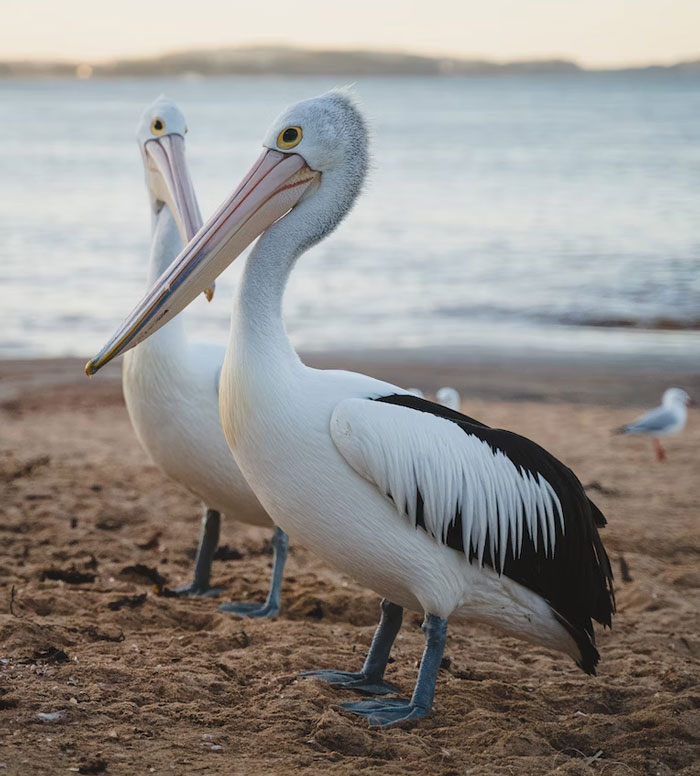 Women Share The Times They Had To Explain Something They Thought Was Well-Known To Their Partner (45 Answers)