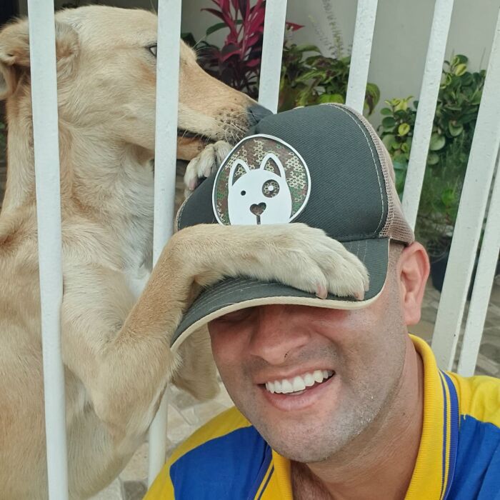Meet The Brazilian Postman Who Conquers The Friendship Of Dogs And Cats Wherever He Goes (40 New Pics)