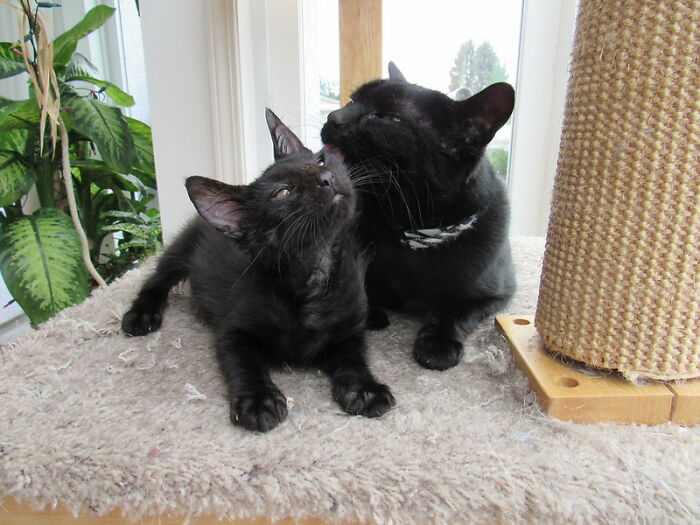 30 Warning Signs That Indicate Someone Is A Terrible Person, As Shared By Folks Online