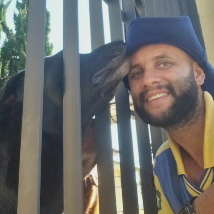 Meet The Brazilian Postman Who Conquers The Friendship Of Dogs And Cats Wherever He Goes (40 New Pics)